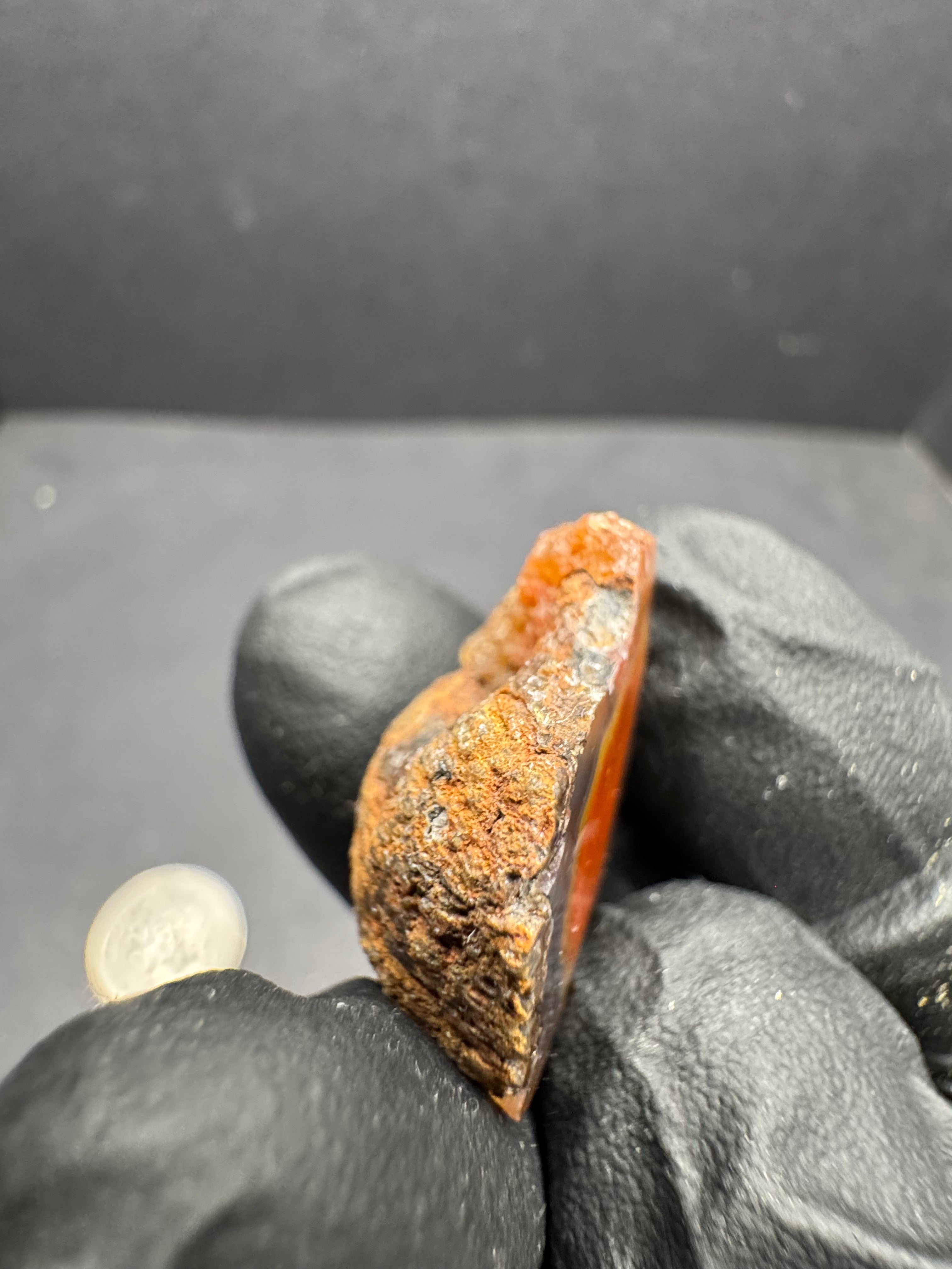 Small Polished Malawi Agate