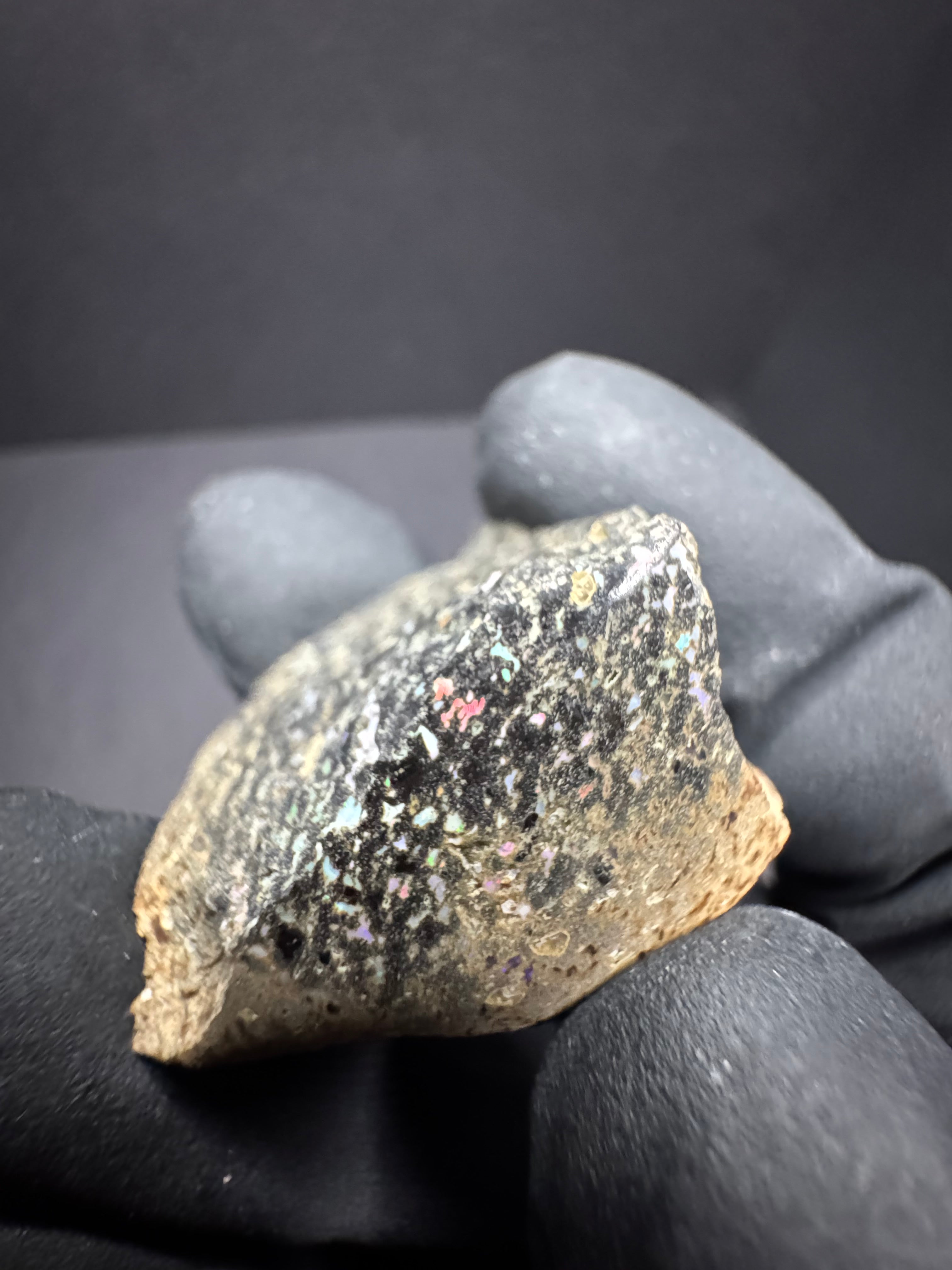 Mexican Leopard Opal Specimen.